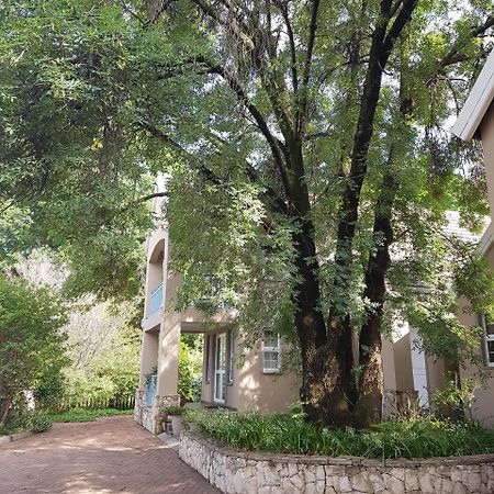 Sugarbush Accommodation Vereeniging Zewnętrze zdjęcie