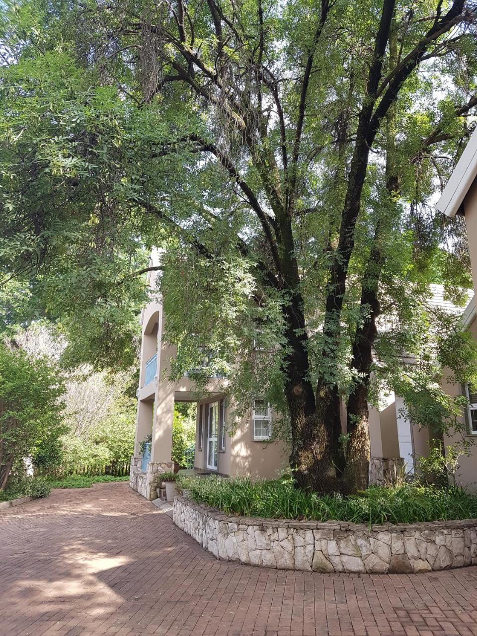 Sugarbush Accommodation Vereeniging Zewnętrze zdjęcie